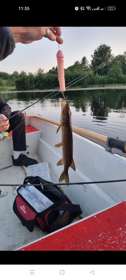 Screenshot_2023-07-22-11-35-42-98_a23b203fd3aafc6dcb84e438dda678 - Odyni