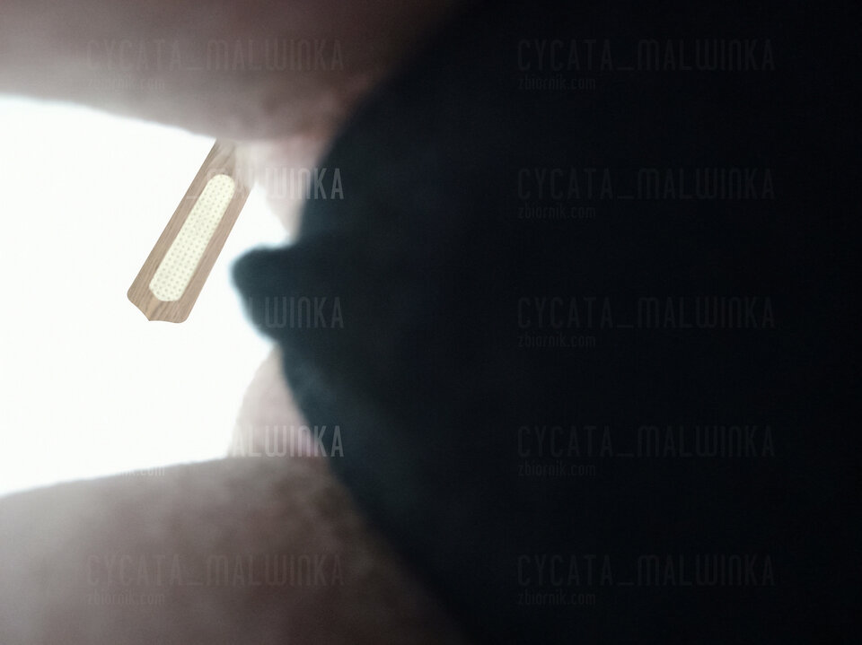 :)) - cycata_malwinka