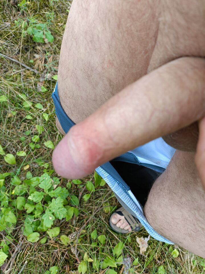 16900322829254939144248915480994.jpg - ardas1