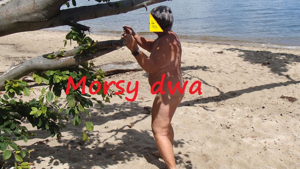 Ostatni wypad nad morze. - Morsy_dwa
