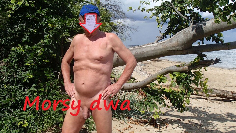 Ostatni wypad nad morze. - Morsy_dwa