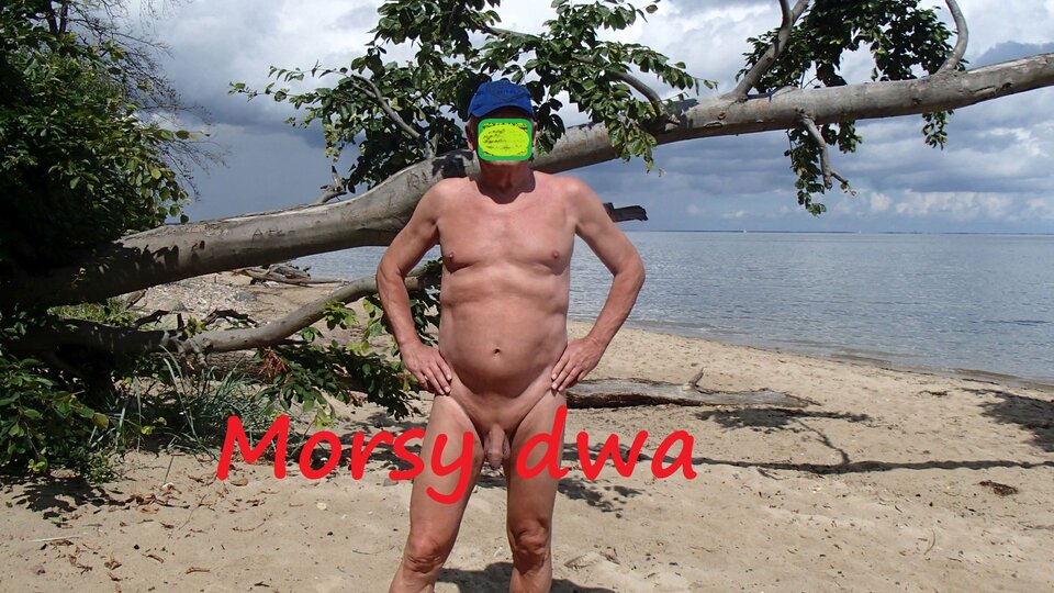 Ostatni wypad nad morze. - Morsy_dwa