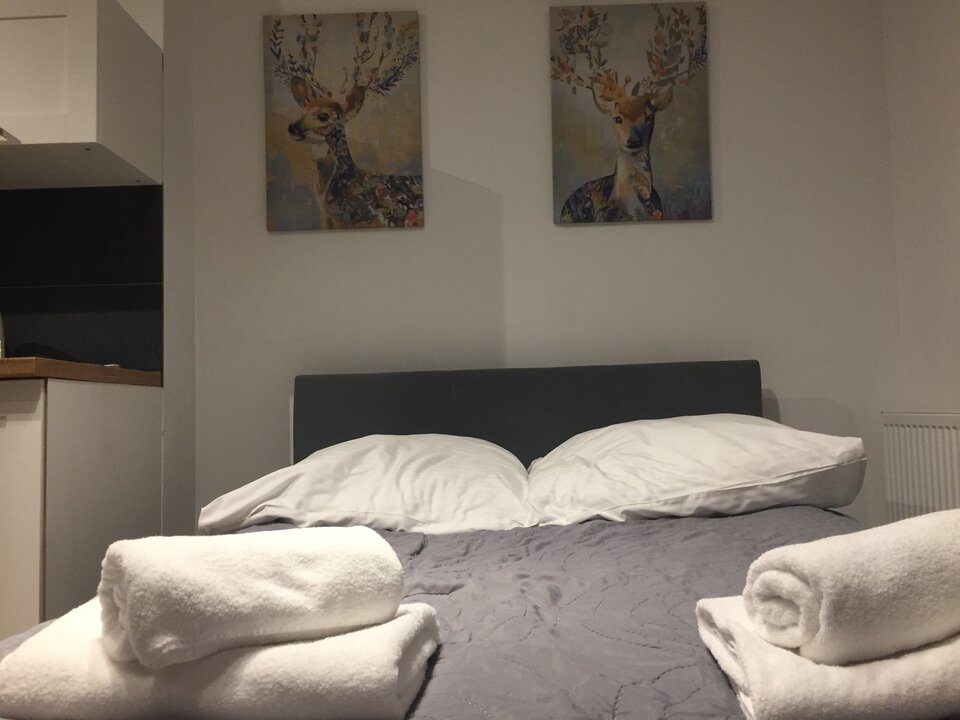 Gdy właściciel apartamentu wie... - landy