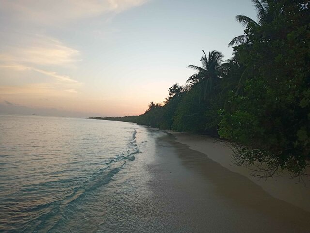 vidalavida