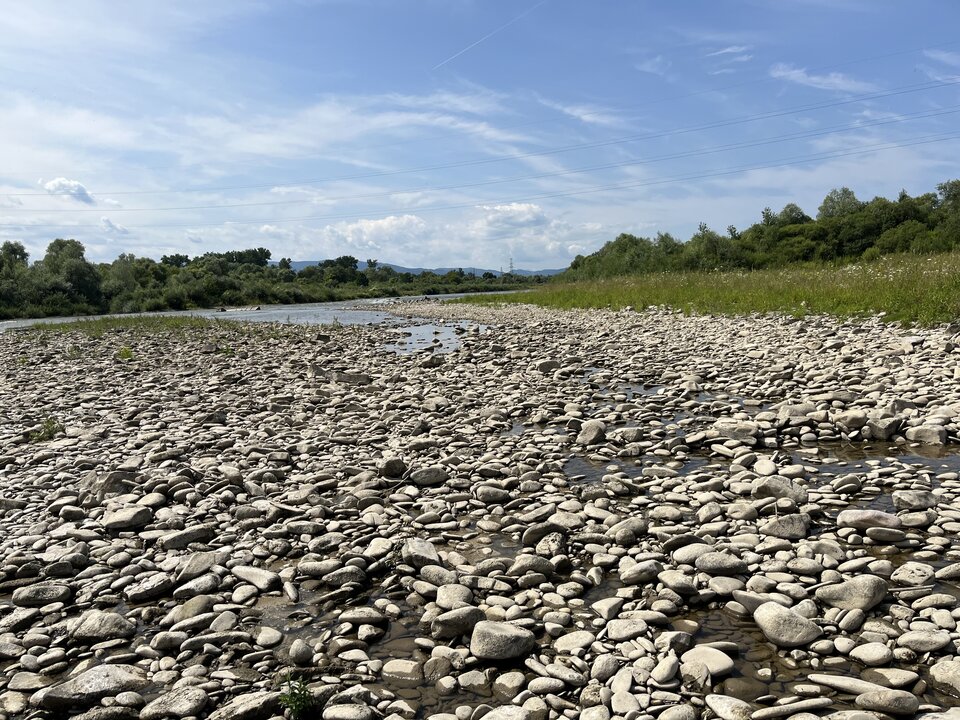 IMG_7789.jpeg - Terrens