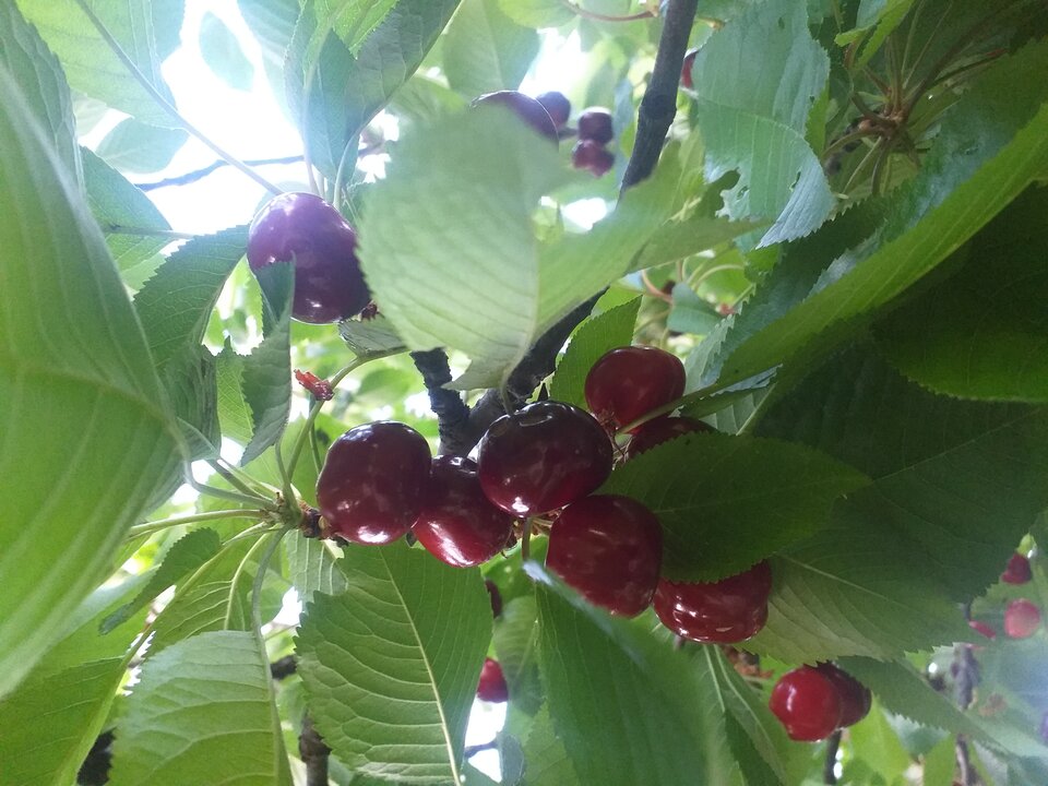 Będziesz dla mnie... - DarMaj71