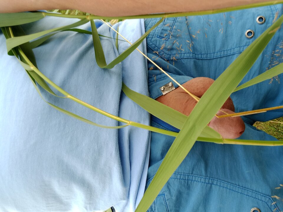 20230723_152210.jpg - Namietnyruuchacz77