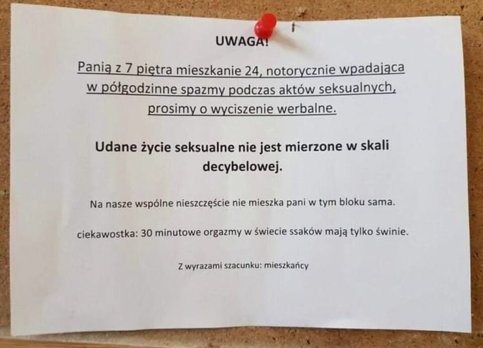 IMG_20230720_094803.jpg - Nicci