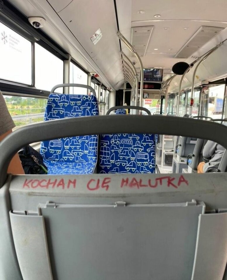 IMG_20230720_095132.jpg - Nicci