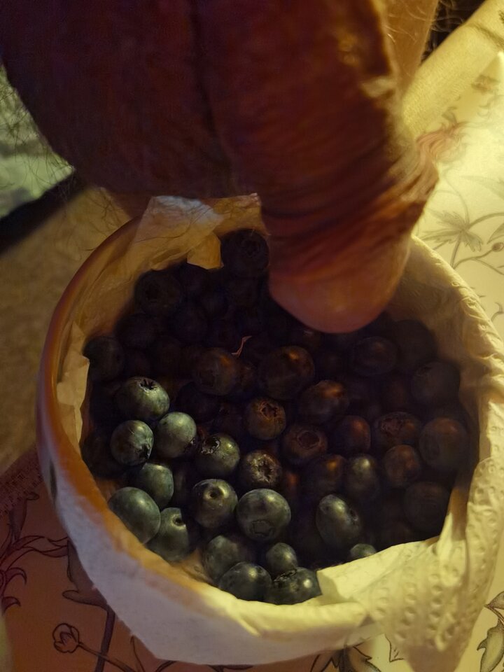 1690157220976.jpg - Mabakol