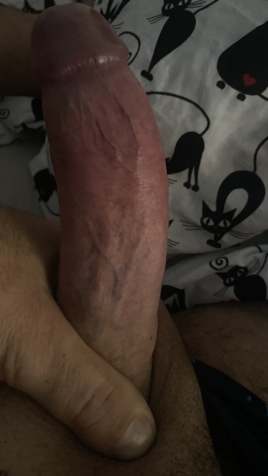 IMG_9549.jpeg - bondjames728