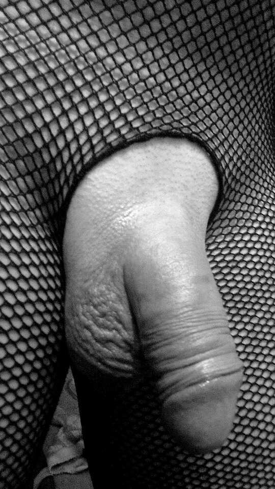 2023-07-24-2988.jpg - egon1000