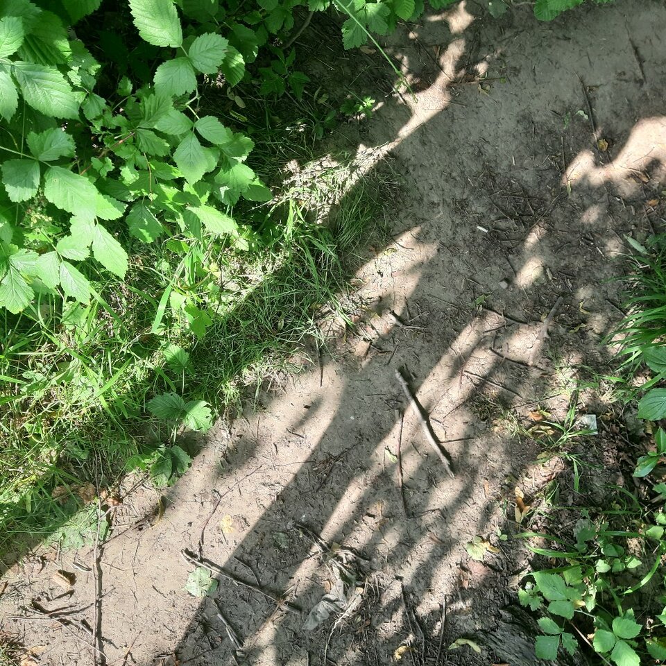 20230622_173633.jpg - Ali70plus