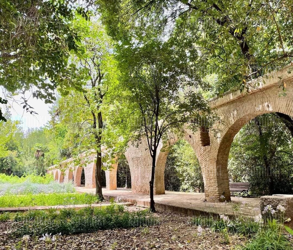 Takie tam z parku Granada España 🇪🇦 - Adminki