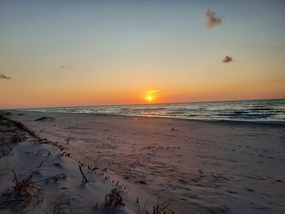 Dębki 25.07 - Reksiki