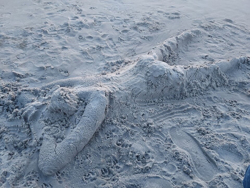 Dębki 25.07 - Reksiki