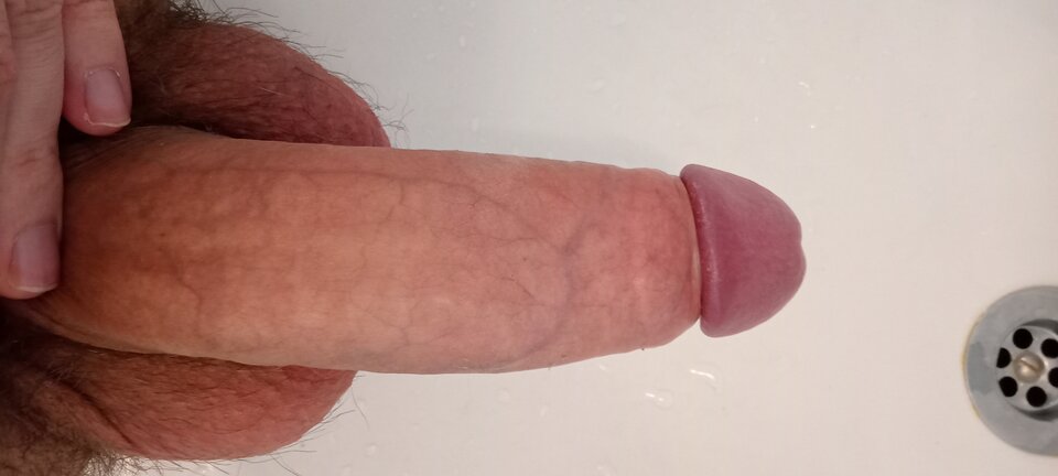 IMG20220217120649.jpg - SlaveDogMaster