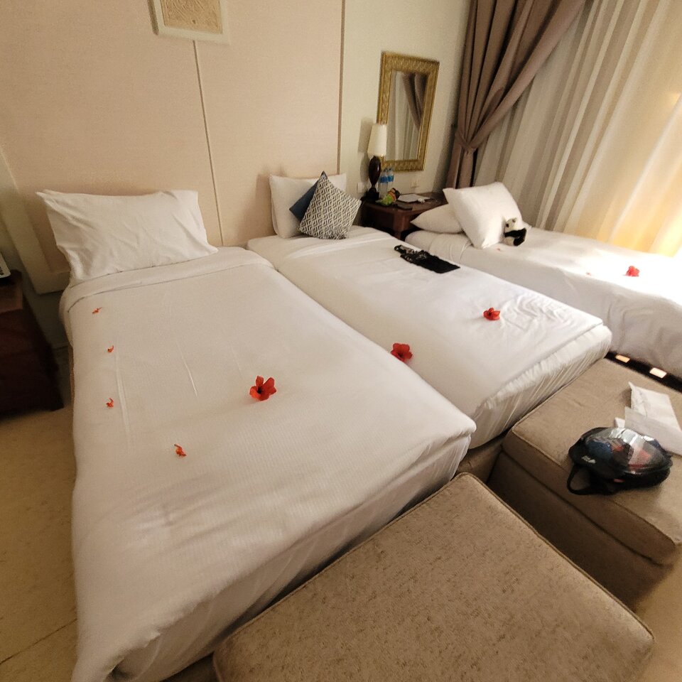 20230726_141541.jpg - bos31