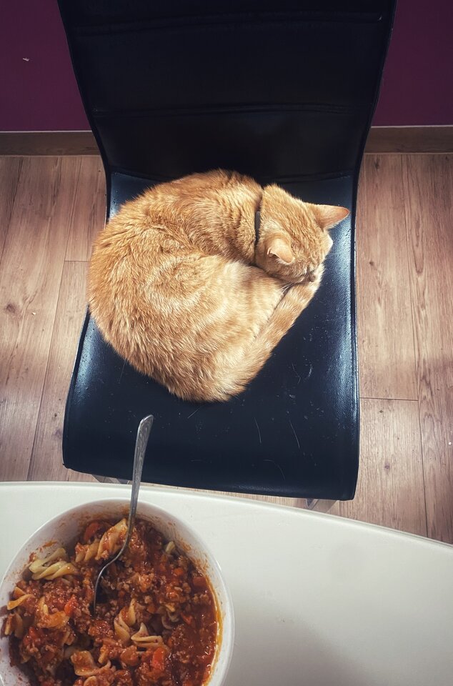 IMG_2194.jpeg - serialowapara19782