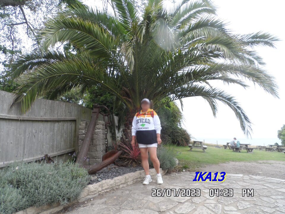 SAM_1535.JPG - ika13