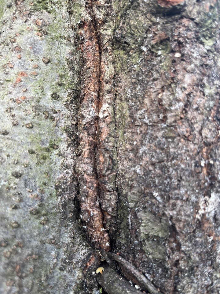 310DCA6F-8A76-4E1B-A9AA-D81310B8A023.jpeg - partner