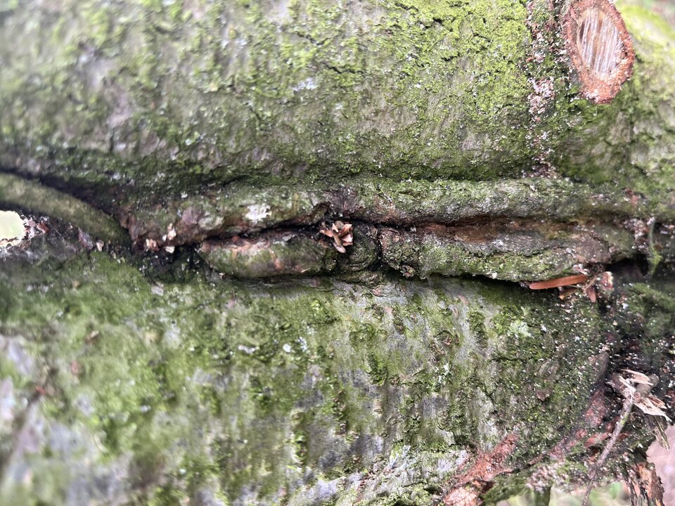 4170D9DB-1DBB-4774-95B6-302F1BD8035F.jpeg - partner