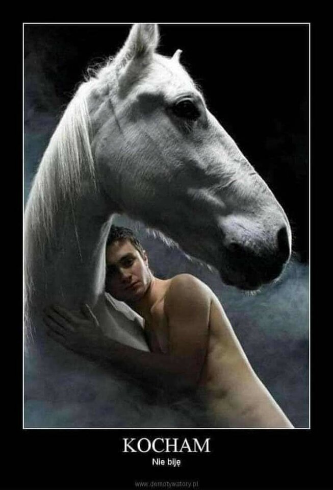 IMG-20230724-WA0006.jpg - Pilsting111