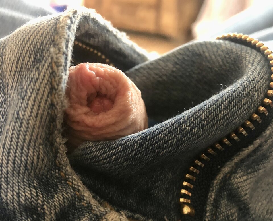 2EA32EBB-EDFC-4E7E-8D7C-2423CD77E22C.jpeg - DonKichot82