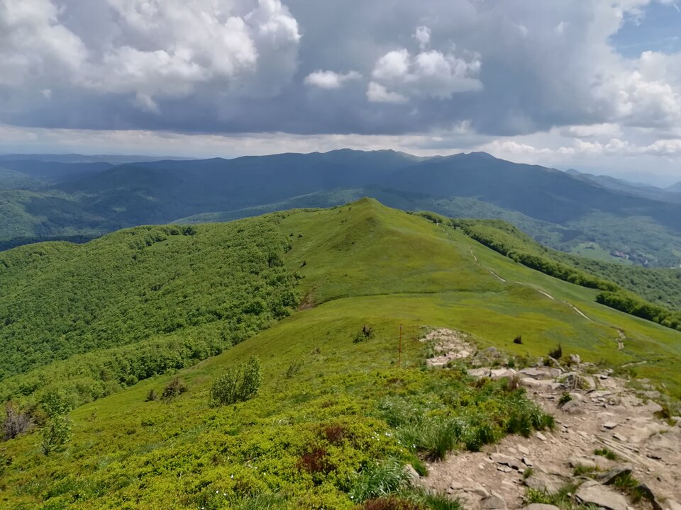 IMG_20190602_121854.jpg - Zegna49