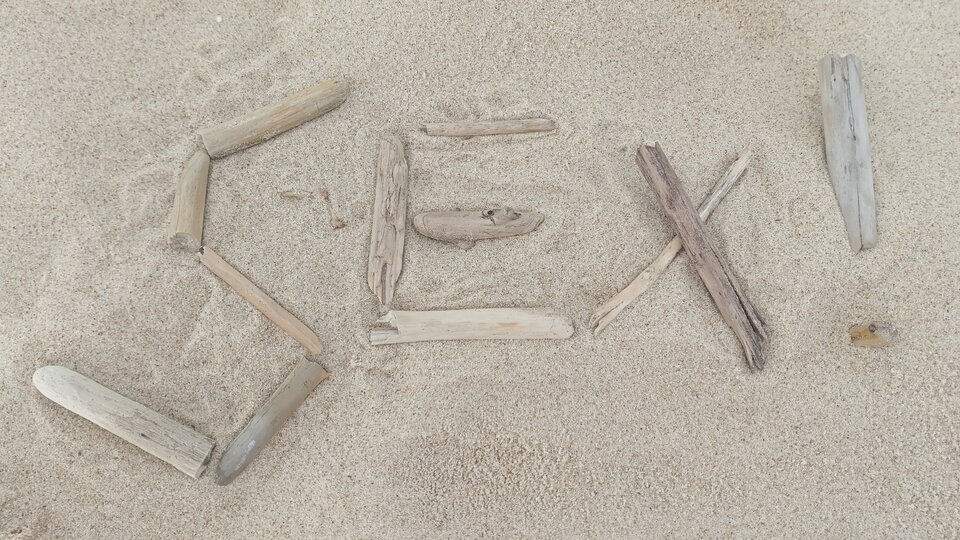 IMG_20230727_154934.jpg - jeepas