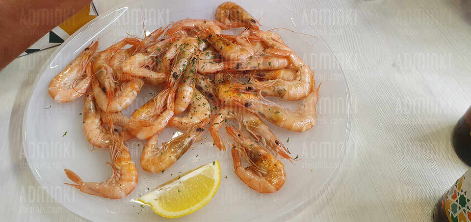 Jeszcze dzisiaj były żywe krewetki - Adminki