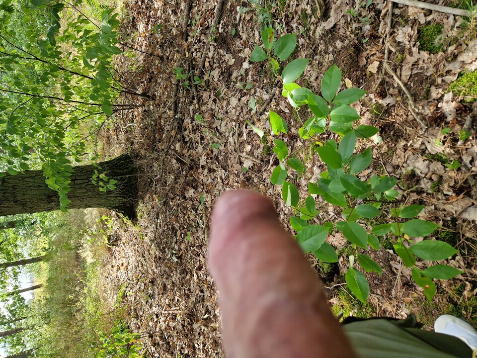 20230727_161949.jpg - GrzecznyGrudziadz69