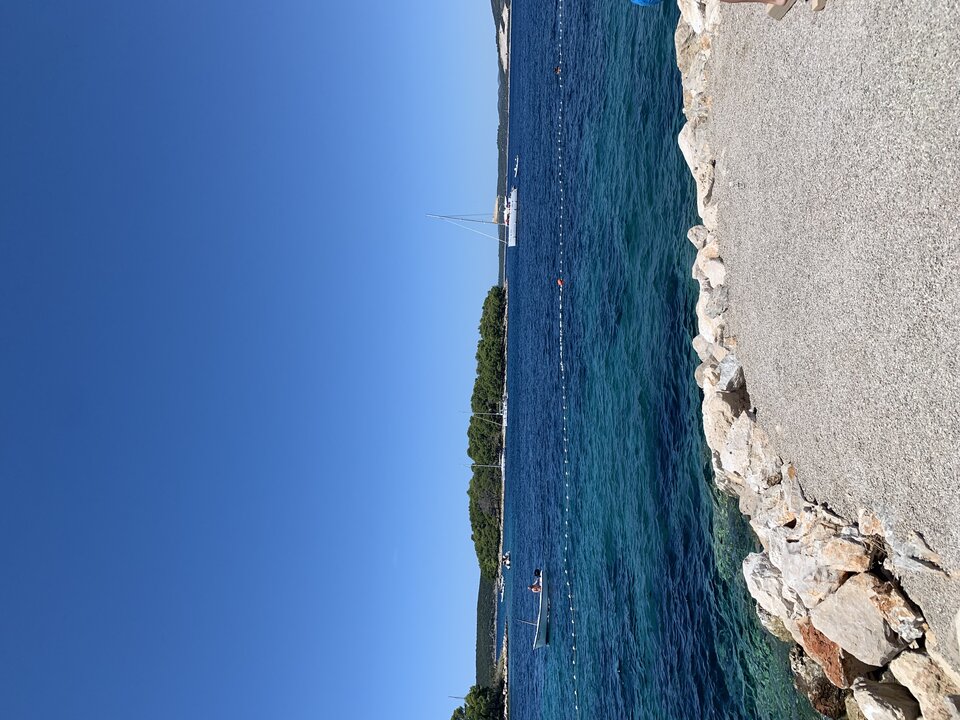 FDFFC7F1-A98A-4C97-A41D-01D86909C078.jpeg - Boom1983