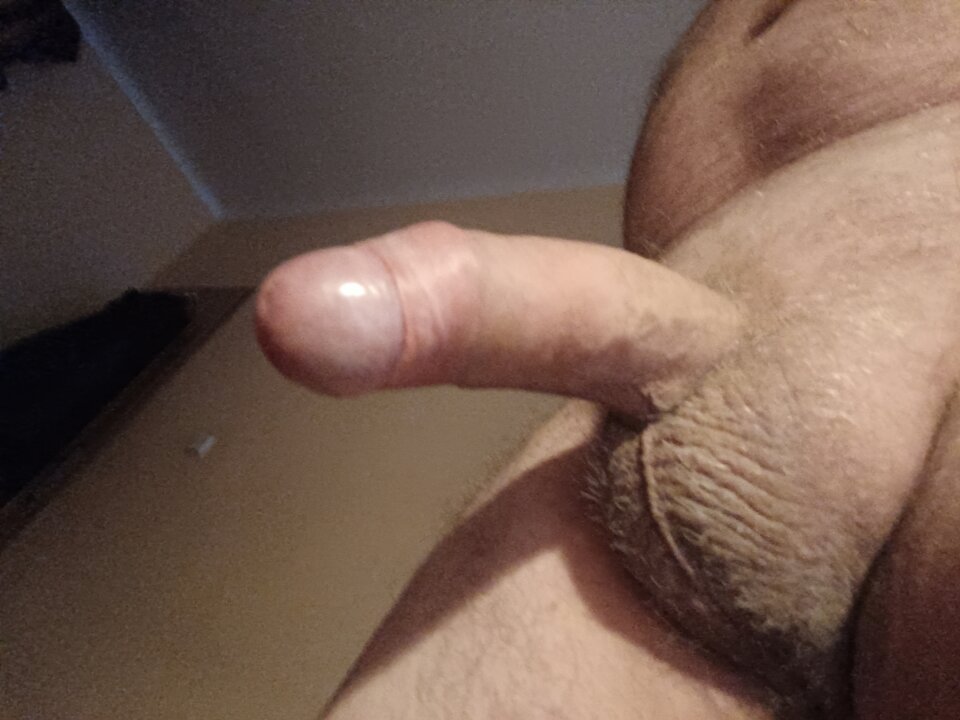 16905168272978296503503713077782.jpg - ardas1