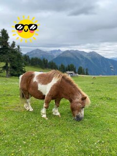 IMG_2926.jpeg