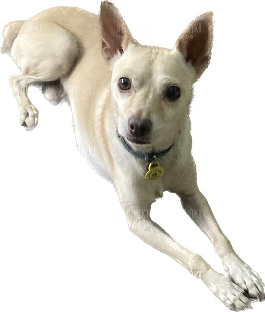 WekenDzik🍻🍻🍻🇪🇦🇪🇦🇪🇦🌞🌞🌞 - Adminki