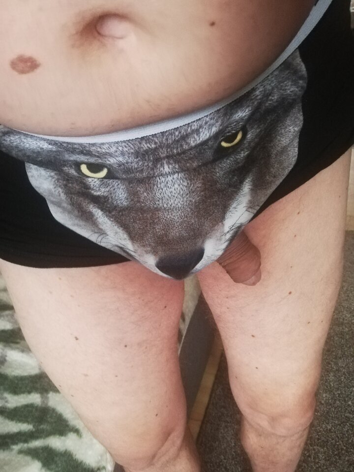 Która Pani pogłaszcze wilczka 🤔 - misterzig