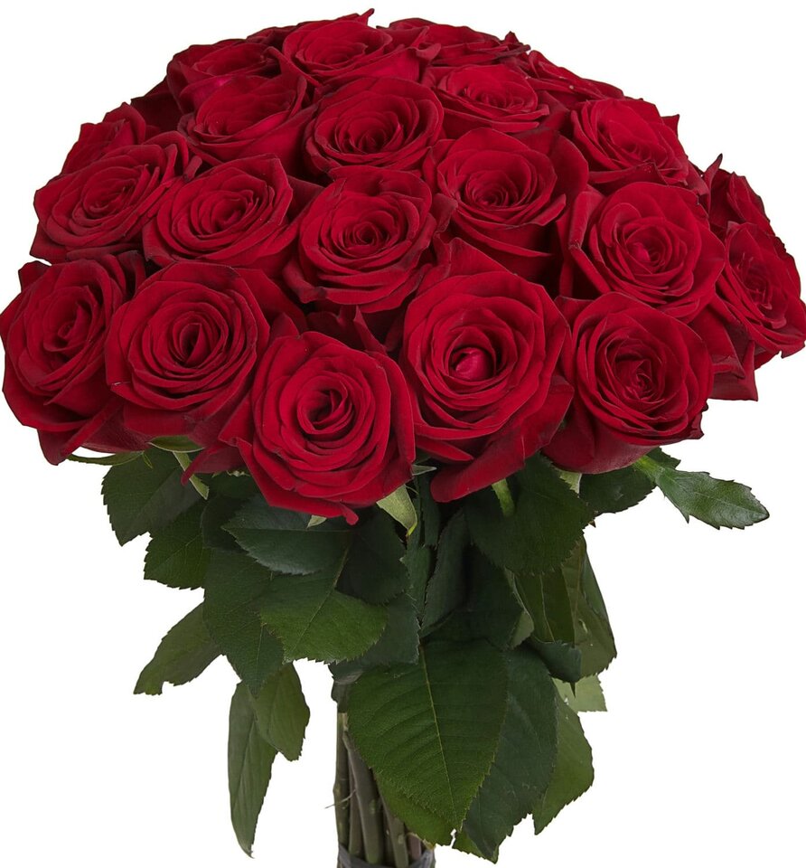 adobestock_200255520.jpeg - your_neighbor