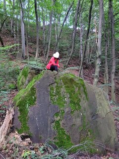 Piękno w lesie 😀