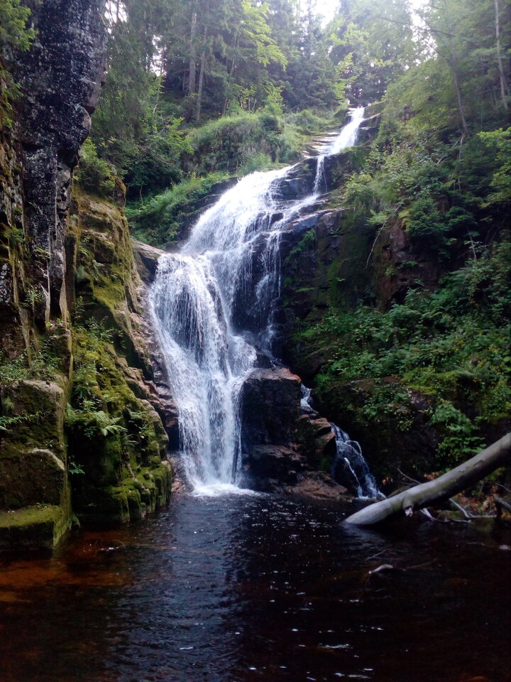 IMG_20230728_162152.jpg - ZadawalaczZon