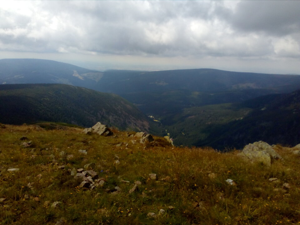 IMG_20230727_110118.jpg - ZadawalaczZon