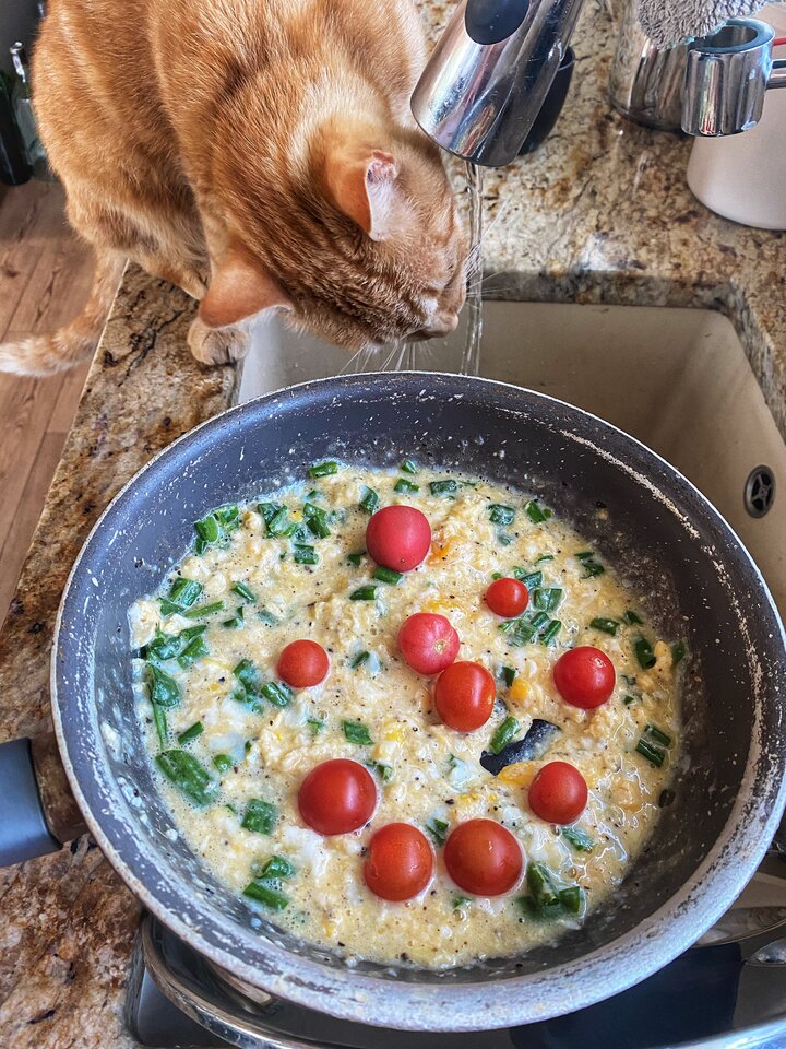 IMG_2244.jpeg - serialowapara19782