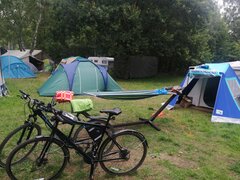 IMG_20230728_121759.jpg