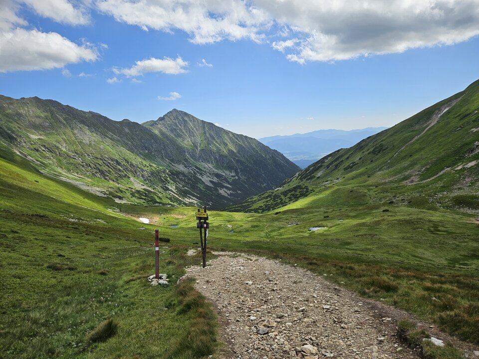 1000001746.jpg - ZakazanaStrefa