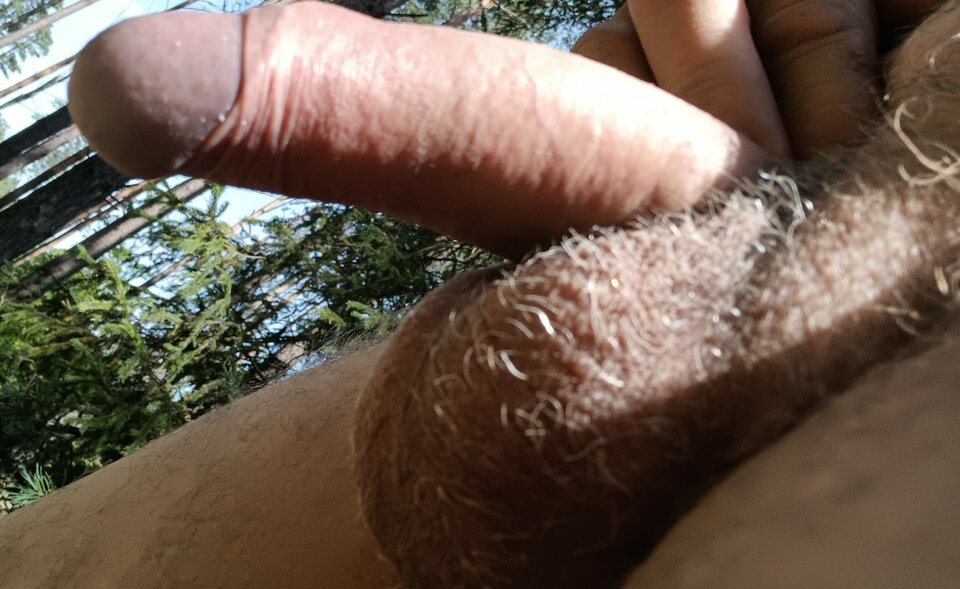 IMG20230729114622~2.jpg - ardas1