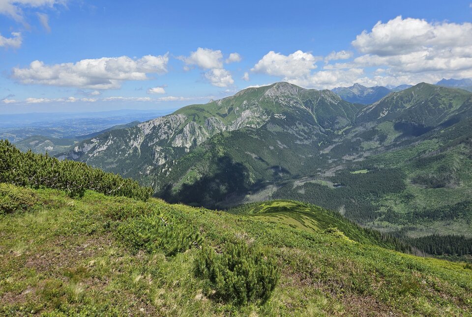 1000001732.jpg - ZakazanaStrefa