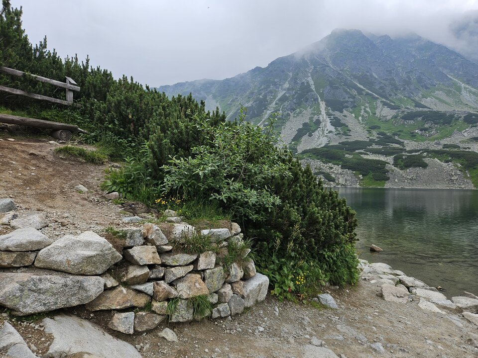 1000001712.jpg - ZakazanaStrefa