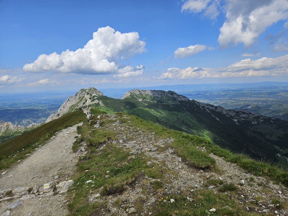 1000001600.jpg - ZakazanaStrefa