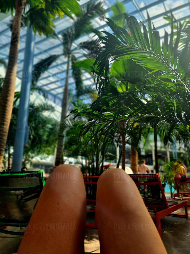 20230729_143941.jpg - Parkaszukakonarka