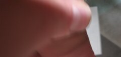 16906374493874571343287581619547.jpg